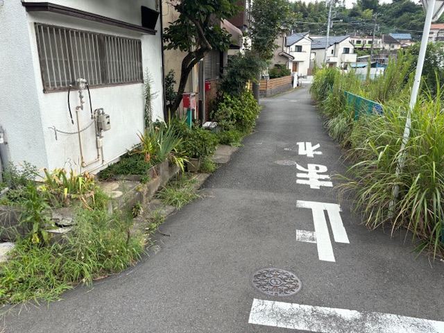 近くには三沢川が流れています。目の前は、三沢川の支流。